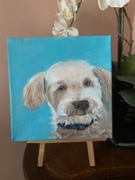 KILO-commissioned