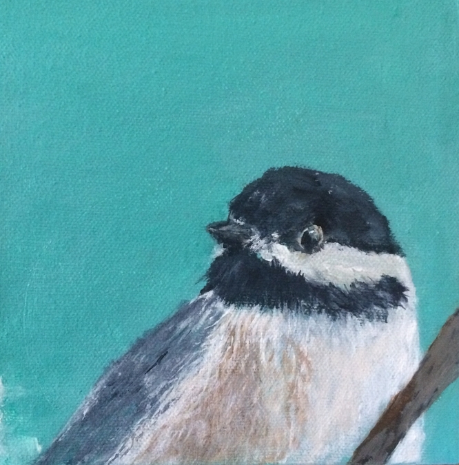 SPRING CHICKADEE