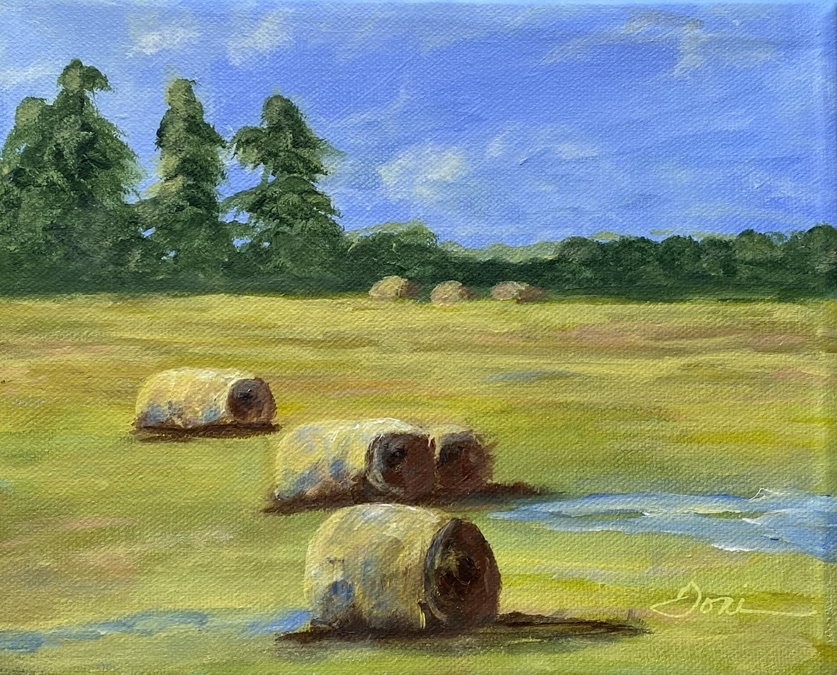 SUMMER BALES - STUDY