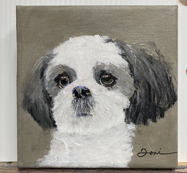 WILLOW - COMMISSIONED