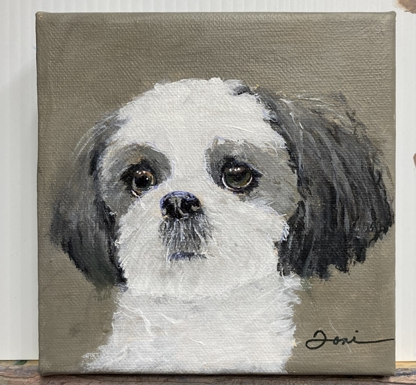 WILLOW - COMMISSIONED